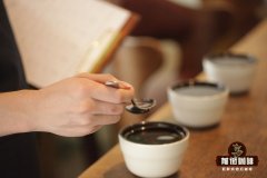 如何正确看待“咖啡杯测”这件事？杯测都有哪些评分表？杯测的重