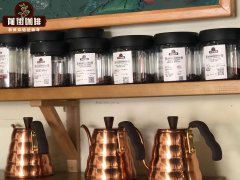 非洲肯尼亚咖啡豆冲泡教学 kalita滤杯冲煮咖啡豆步骤教学