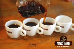 同一款咖啡豆为什么能冲出不同风味？压力法、浸泡法、真空过滤等萃取方式一次看懂
