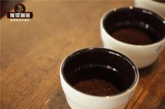 精品咖啡和普通咖啡有什么不同？杯测指标与品鉴方法全解析