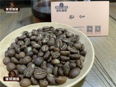 肯尼亚AA咖啡豆和耶加雪菲哪个好喝 肯尼亚咖啡风味特点是什么？