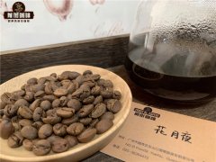 菊苣咖啡是咖啡还是茶 菊苣与咖啡最大的区别是什么 菊苣的配方