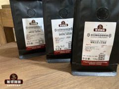 中美洲和南美洲咖啡豆种植地特点介绍 巴拿马艺妓咖啡怎么这么贵