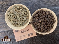 巴拿马冠军咖啡是什么 翡翠庄园艺妓咖啡为什么最近才成名